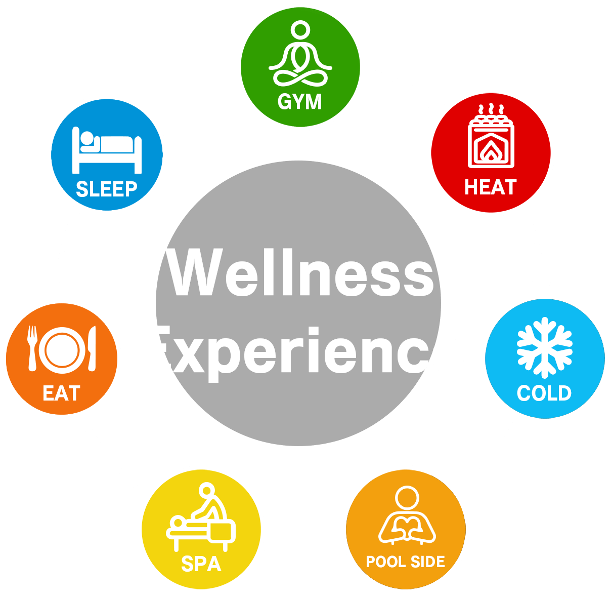 Wellness Experience
