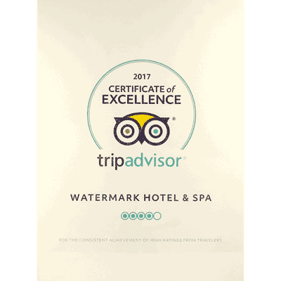 tripadvisor