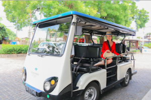 shuttle buggy service