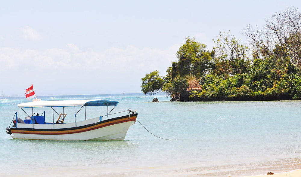 nusa dua g20