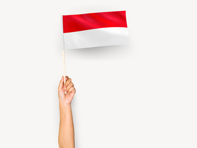 FLAG-INDO