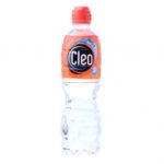 CLEO