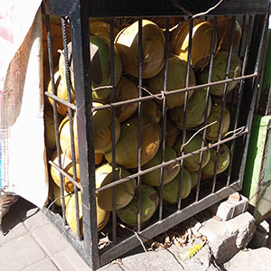 coconut water